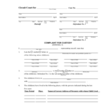 2021 Child Custody Form Fillable Printable PDF Forms