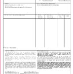 6 Cafta Certificate Of Origin Template 88957 FabTemplatez
