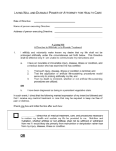 Download Idaho Living Will Form Advance Directive PDF