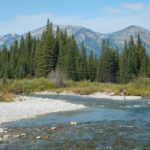 Flathead River Into The Wild Water