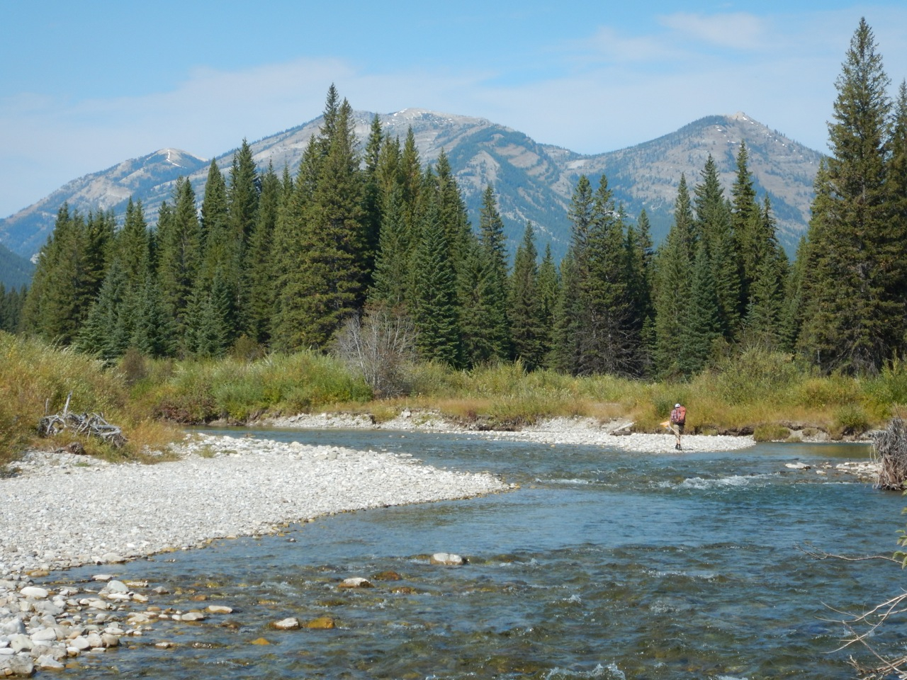 Flathead River Into The Wild Water