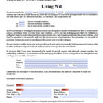 Florida Living Will Form Advance Directive Living Will