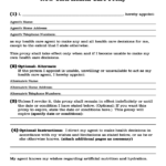 Health Care Proxy Form New York City Edit Fill Sign
