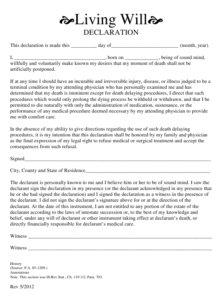 Illinois Living Will Declaration Download Printable PDF