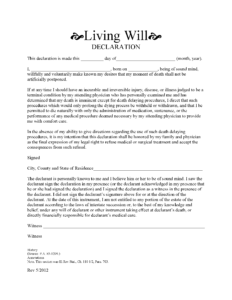Illinois Living Will Form Fillable PDF Free Printable