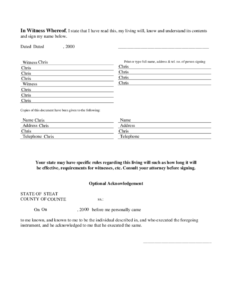 Living Will Template Free Download