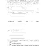 Power Of Attorney Form For Child Free Printable